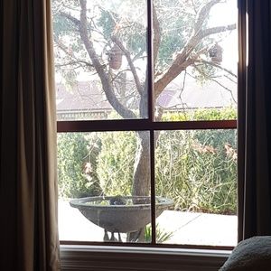 Meet your Posher, Carolyn